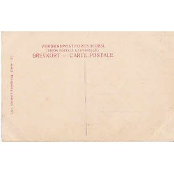 Kong Christian IX. Srgekort. A.V.523 -