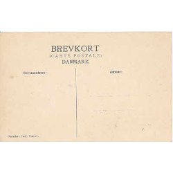 Christian IX - Srgekort - C.ST u/no.