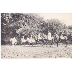 Kongefamilien til hest C.Koch 15946