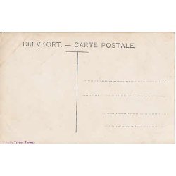 Kong Kristian IX til Hest.