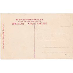 Kong Christian IX. Srgekort. A.V.520