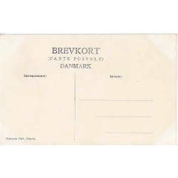 Kong Christian 9.Ligf&aelig;rd - Roskilde St.u/no