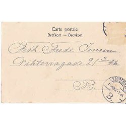 Kong Christian IX. Srgekort. A.V.494 -