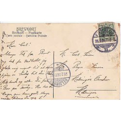 Christian IX - Liv i Billeder.