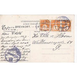 Frederik VIIIs. Familie u/no