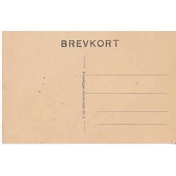 Kong Christian X Dannevirke 4.