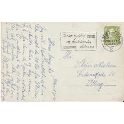 Kongeparet p&aring; Klitg&aring;rden St.1892