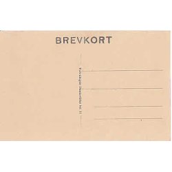 Kong Christian X inspicerer en Bataillon.D.V.11