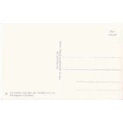 Kongefamilien i Grnlnderdragter - Grsten