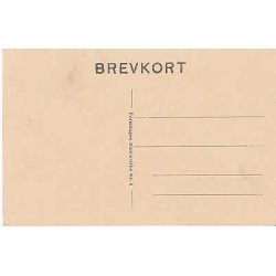 Kong Christian X Dannevirke 4.