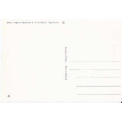 Prinsesse Margrethe - Grev Henri - St.2310/38