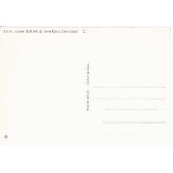 Prinsesse Margrethe - Grev Henri - St.7011