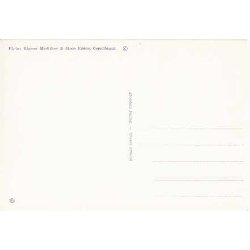 Prinsesse Margrethe - Grev Henri - St.2310/36