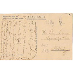 Kongen bes&oslash;ger B&oslash;rnehaven - D&oslash;v.u/no