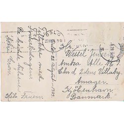 Kronprinceparret. u/no