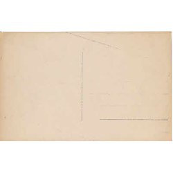 Den Norske Kronprinsfamilie.