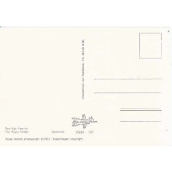 Den Kongelige Familie. C.101