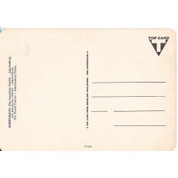 Den Kongelige Familie. T.153