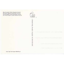 Kronprins Frederik 18 r.- St.864