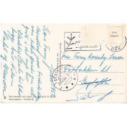 Kongefamilien i Grnlnderdragter - Grsten