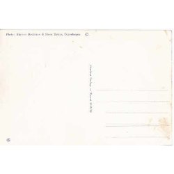 Tronflgeren Prinsesse Margrethe og Prins Henrik