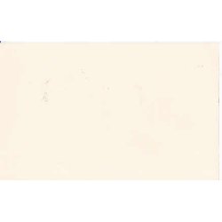 Kong Christian X p&aring; jagt i Valby Hegn