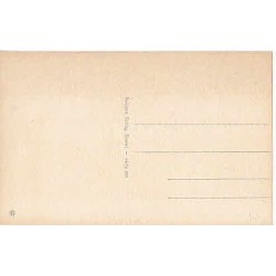 Dannebrog p Grnland St.384