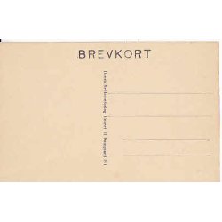 Kongen &oslash;nsker til Lykke - Artilleri Jubil&aelig;um.