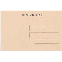 Kronprins Christian. D.V.6