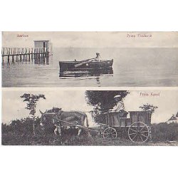 Prins Frederik og Prins Knud. J.J.N.4458