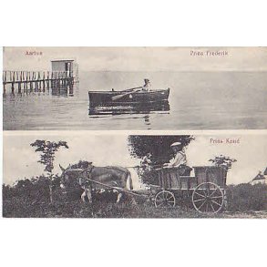 Prins Frederik og Prins Knud. J.J.N.4458