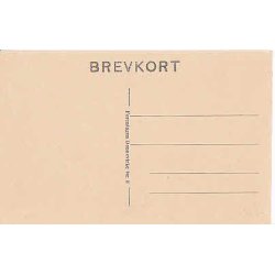 Prins Christian som Faneljtenant. D.V.8