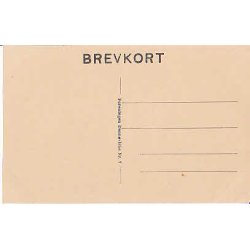 Kronprins Christian som Premierljtnant