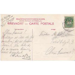 Norges Kongefanilie. - St.4519