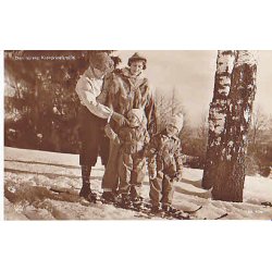 Den Norske Kronprinsfamilie. - D.35