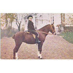 Kronprins Olav til Hest. 1529