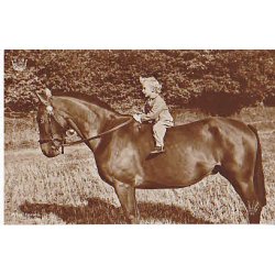 Prins Harald. Abels 152