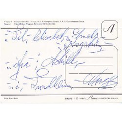 Kronprinsefamilien - Aune