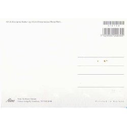 Kronprinseparret Mette-Marit og H&aring;kons Bryllup.