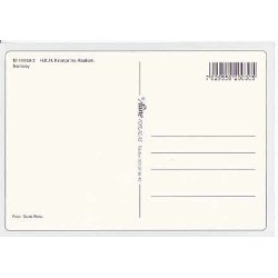 Kronprins H&aring;kon. Aune