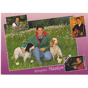 Kronprins Håkon. Aune