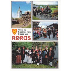 Dronningbes&oslash;g i Bergstaden. Aune