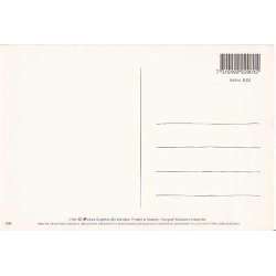 Kongefamilien p&aring; Slotsbalkongen. 17.Maj.