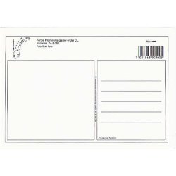 Royale g&aelig;ster til OL