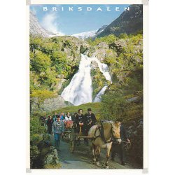 S&oslash;lvbryllup p&aring; Skagafl&aring;.- Briksdalen