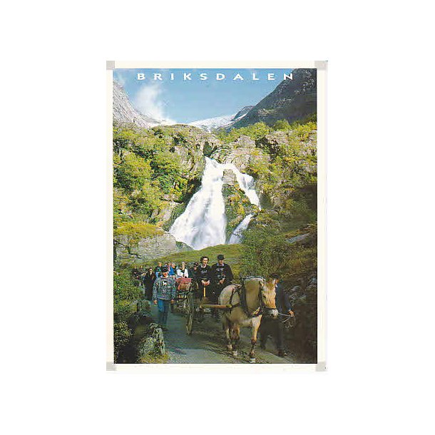 S&oslash;lvbryllup p&aring; Skagafl&aring;.- Briksdalen