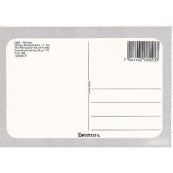 Kongefamilien p&aring; Slotsbalkongen. 17.Maj.