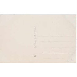 Kronprinseparret. -  A.E.