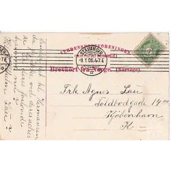 Norges Kongefamilie - Mittet