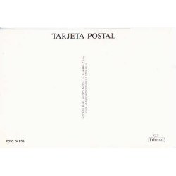 S.M.el Rey Don Juan Carlos.